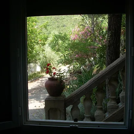 Independante Climatisee, Cuisine D'ete, Piscine Homestay