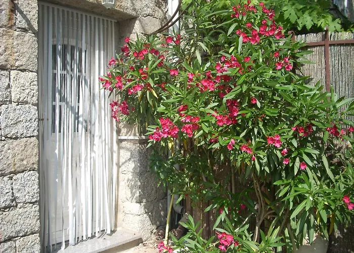 Kwatera prywatna Independante Climatisee, Cuisine D'ete, Piscine