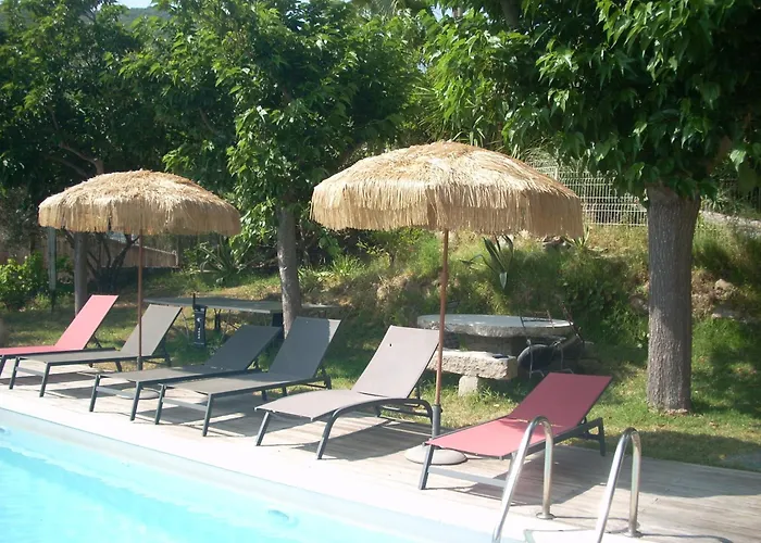 Independante Climatisee, Cuisine D'ete, Piscine Sartène